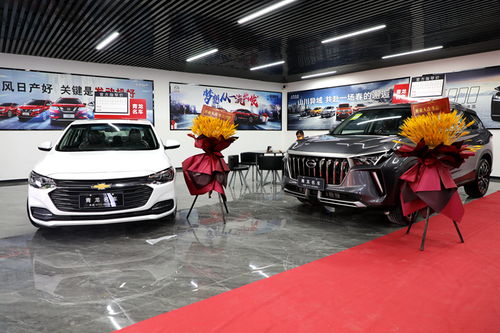 忻城汽車新地標(biāo)！青龍車行元旦盛大開業(yè)，打造一站式汽車銷售綜合體