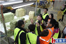 2015年荷斯坦代表團赴Balco南澳燕麥加工廠開展奶業技術交流